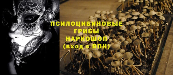 ГАЛЛЮЦИНОГЕННЫЕ ГРИБЫ Алексин