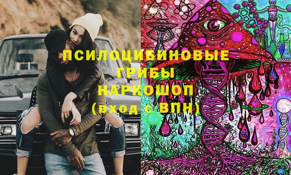 ГАЛЛЮЦИНОГЕННЫЕ ГРИБЫ Алексин